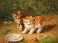 Gattini avec lumière Alfred Brunel de Neuville avec chaton